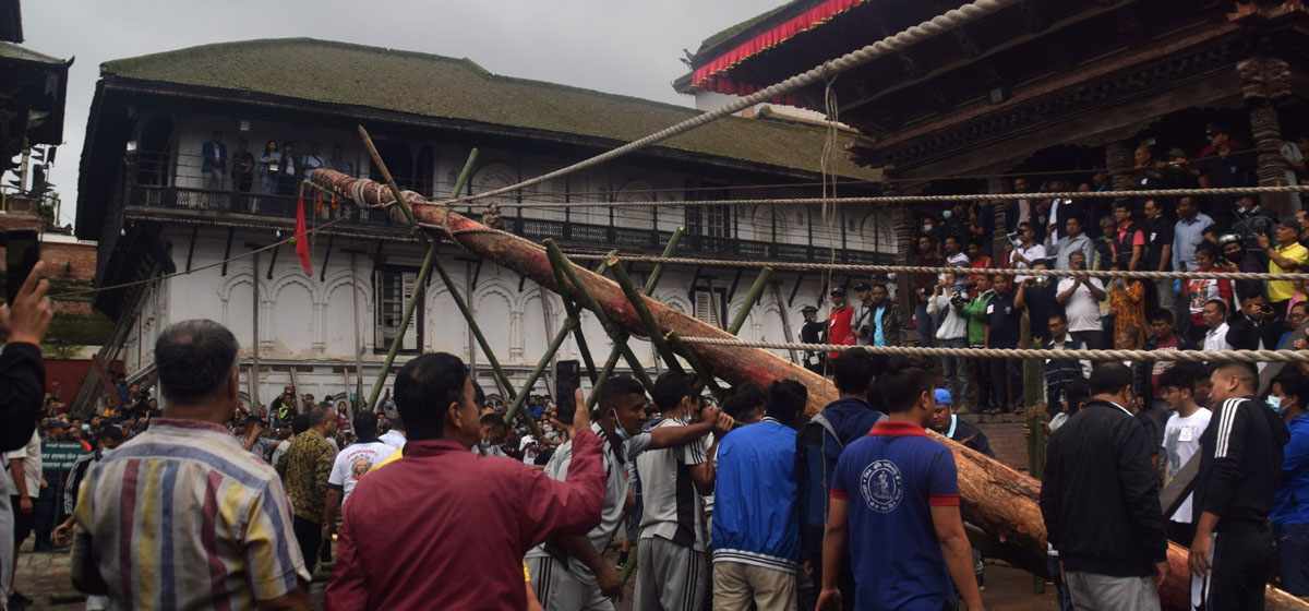 हनुमान ढोकामा इन्द्रजात्राको लिङ्गो ठड्याइयो