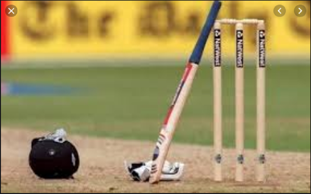 प्याट्रियट्स कप अन्तरकलेज क्रिकेट शनिवारदेखि