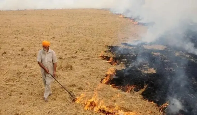 भारतको पञ्जाब र हरियाणाको अति प्रदुषित धुवाँ नेपाल प्रवेश, प्रतिकुल असर पर्ने संकेत