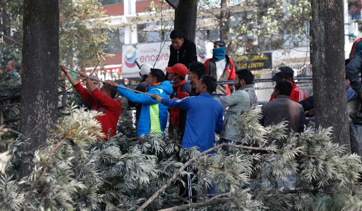 विद्युतको तारमा अवरोध गर्ने रुख र रुखका हाँगाहरु हटाउँदै महानगर