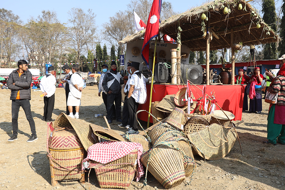 पोखरामा २४औँ संस्करणको सडक महोत्सव