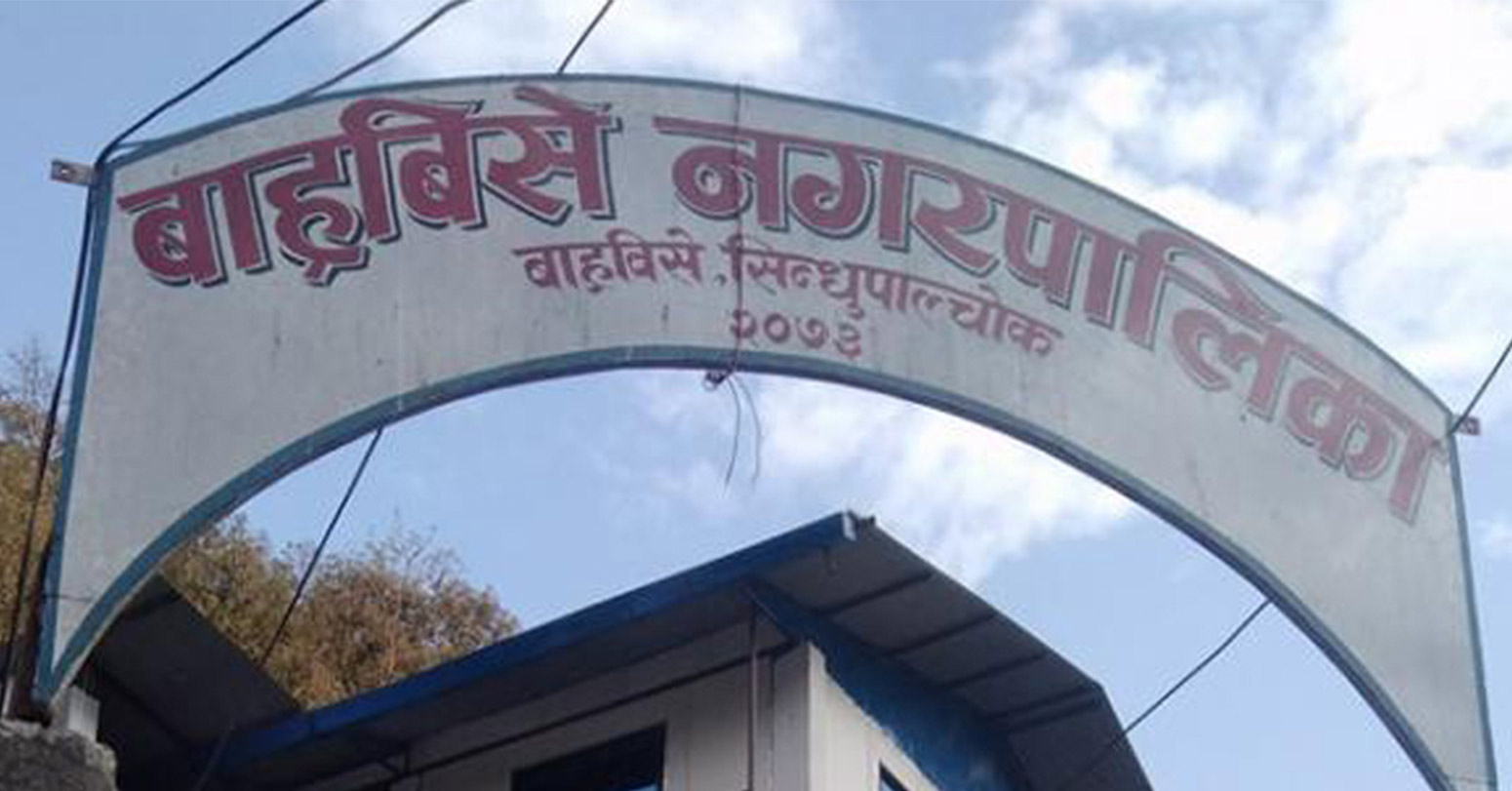 बाह्रबिसे नगरपालिकाद्वारा किसानलाई गोरु पाल्न अनुदान