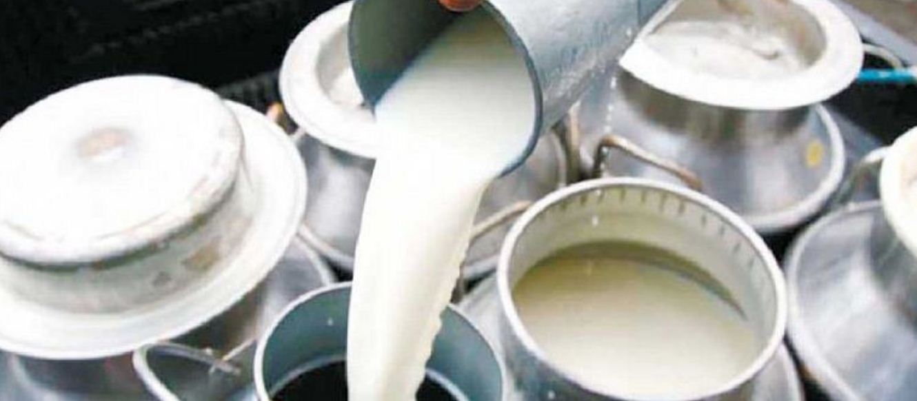 दूध उत्पादक किसानलाई प्रतिलिटर पाँच अनुदान