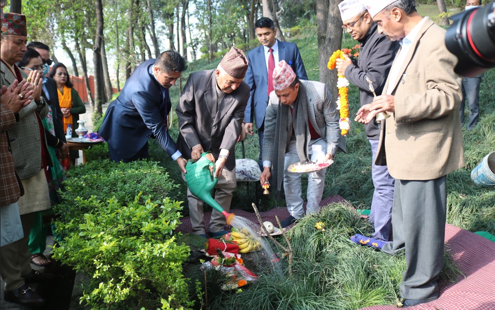 राष्ट्रपति पौडेलद्वारा वनकालीमा वृक्षरोपण