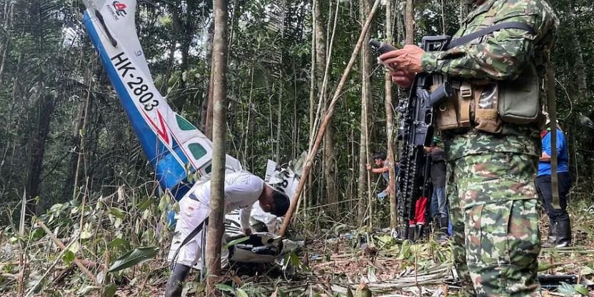 कोलम्बिया विमान दुर्घटना:  ४० दिनदेखि अमेजनको जंगलमा हराइरहेका बालबालिका जिवितै भेटिए