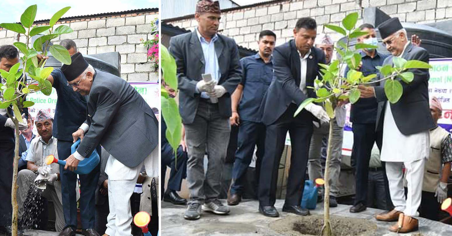 मदन भण्डारी जन्मजयन्तीका अवसरमा वृक्षारोपण गर्दै एमाले अध्यक्ष ओलीले भने– वृक्ष र मानवबीच अन्योन्याश्रित सम्बन्ध छ