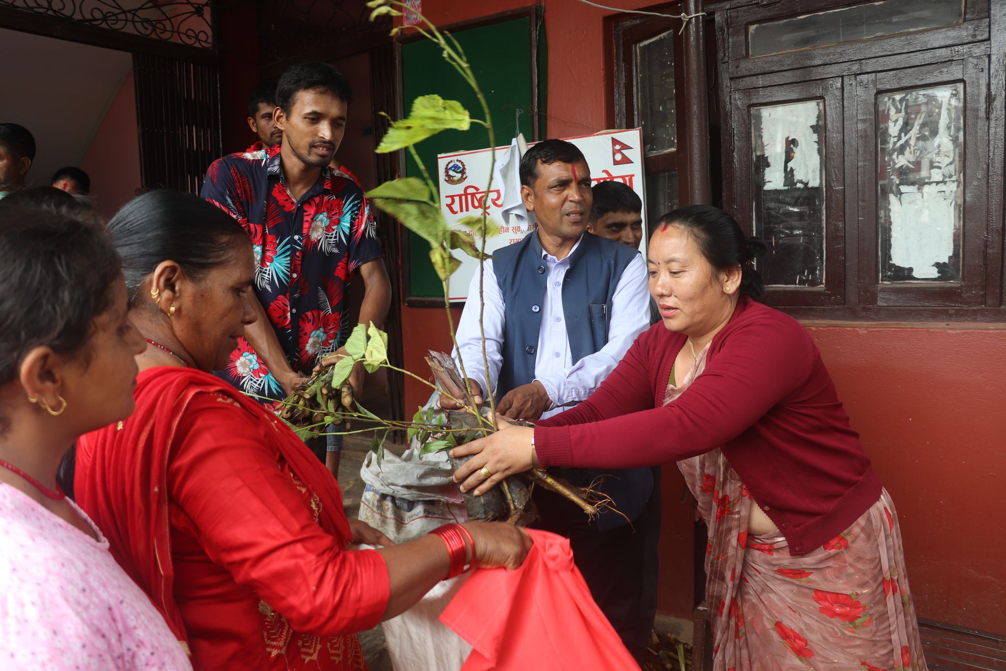 किसानलाई घाँसका बिरुवा वितरण