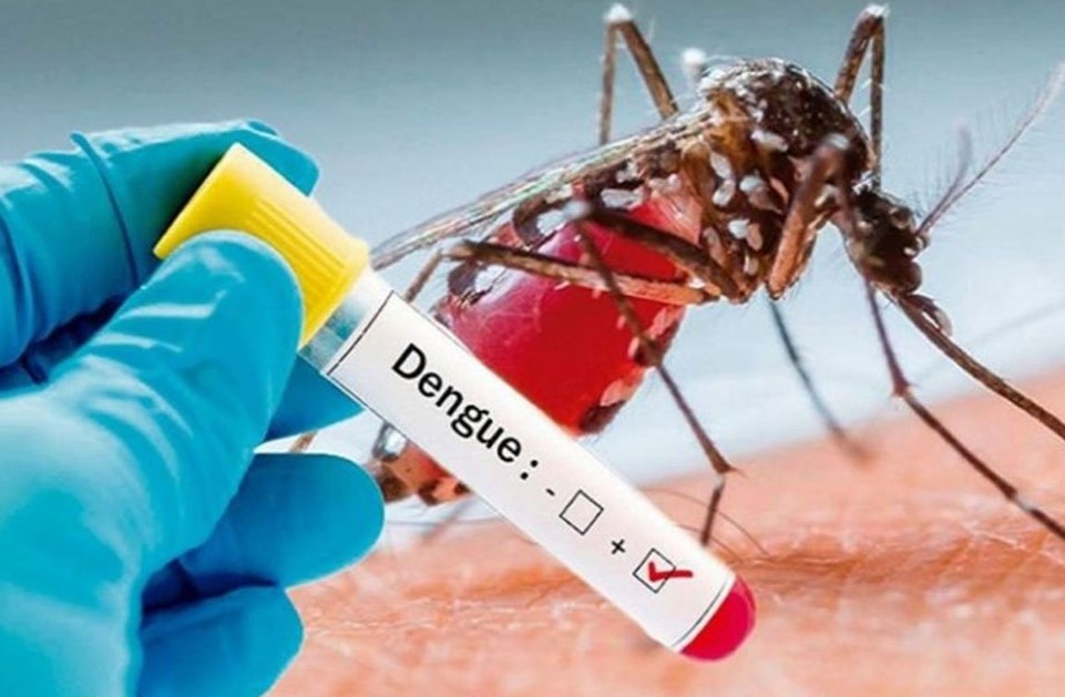 अहिलेसम्म देशभर ७ हजार ७३३ जना डेंगु संक्रमित, सात जनाको मृत्यु