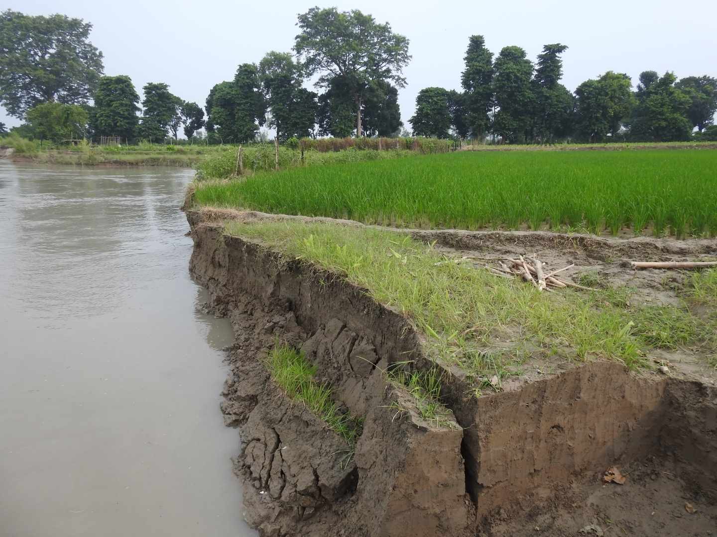 कुतियाकवरवासीको पीडा : तटबन्ध नबने बस्ती जोगबुढा नदीमा समाहित हुने