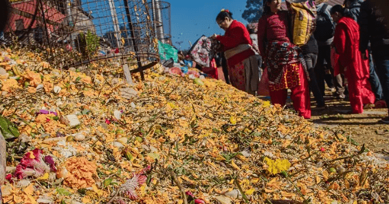 पशुपतिनाथलगायत शिवालय क्षेत्रमा शतबीज छरियो