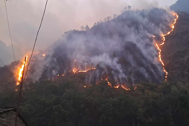 डढेलो नियन्त्रण र तत्काल राहत वितरण गर्न नेफेजको आग्रह