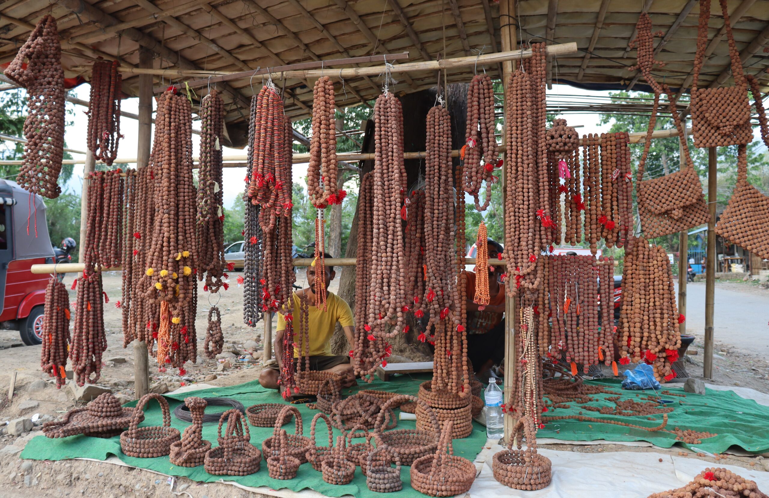 रुद्राक्षको व्यापारबाट मनग्य आम्दानी