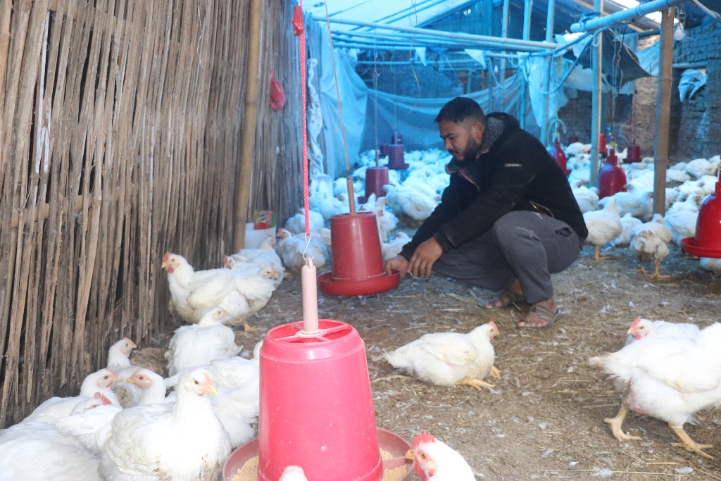 कृषिमा रमाउँदै भोजपुरका दीपक, वार्षिक १५ लाख आम्दानी