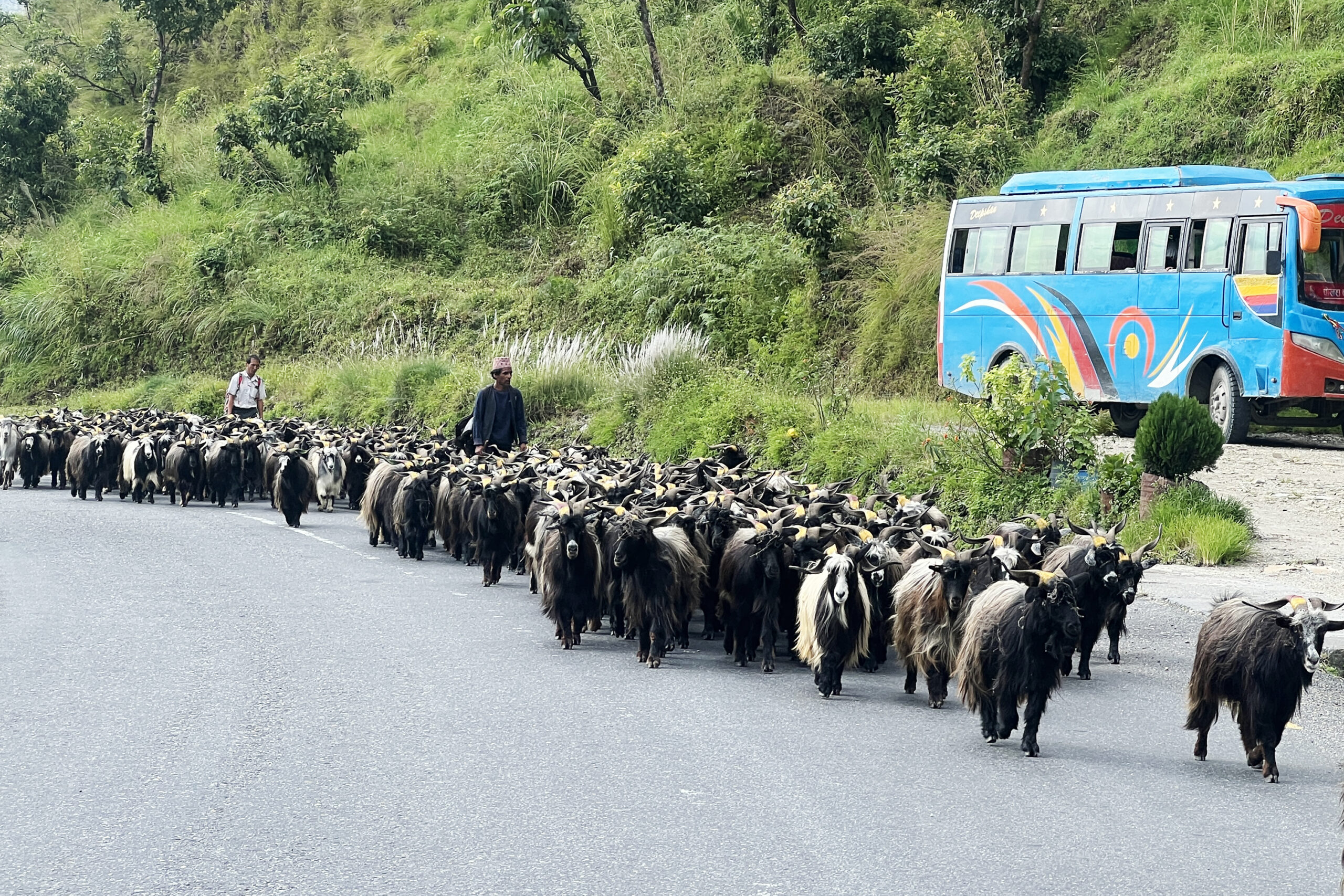 च्याङ्ग्रा बेच्न रारादेखि फेवा तालसम्मको यात्रा