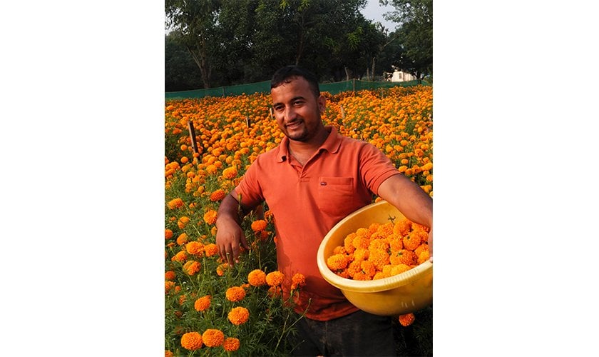 २४ वर्षीय युवाको लोभलाग्दो व्यावसायिक फूलखेती, तिहारमा मात्रै ५ लाखको फूल बेच्ने लक्ष्य