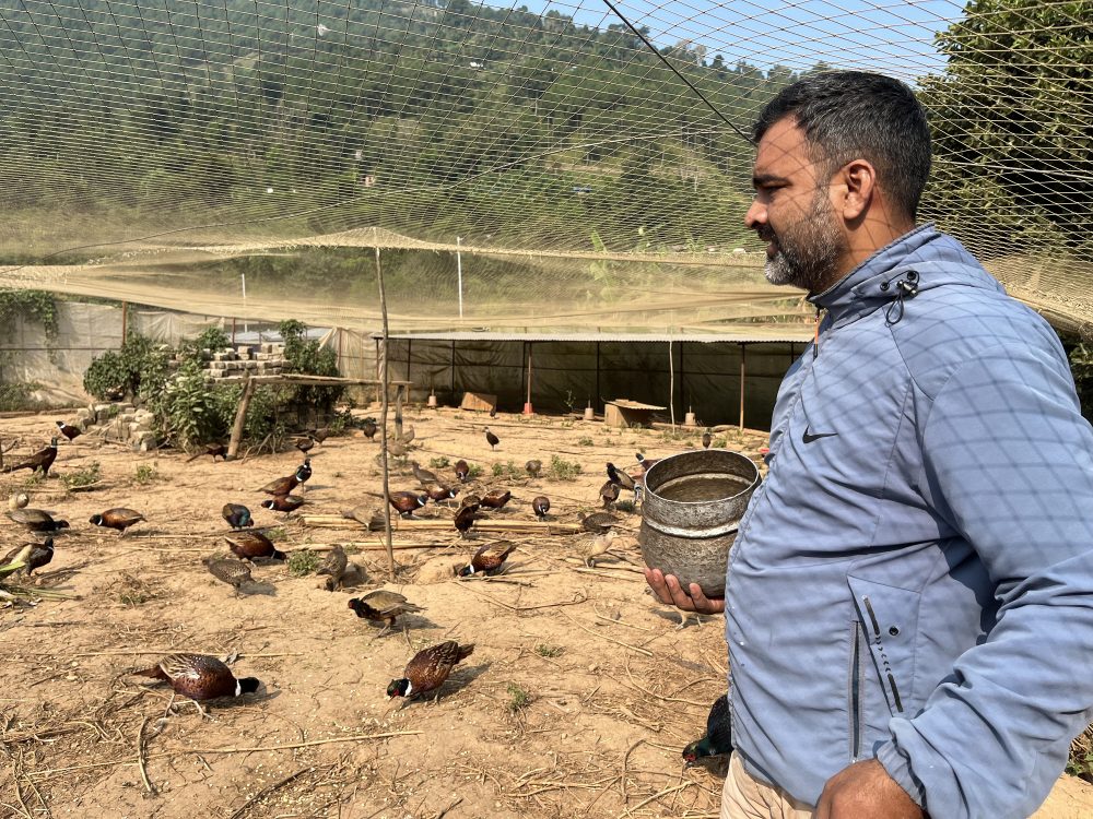 सरकारी जागिरसँगै कालिजपालनमा रम्दै चुडामणि, वार्षिक १२ लाखको कालिज बिक्री