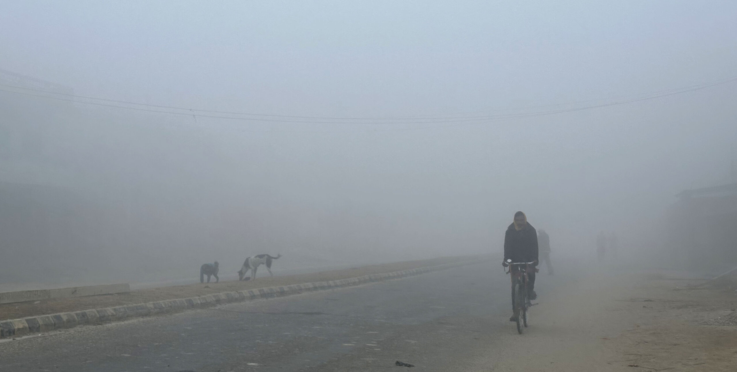 बाक्लो कुहिरोका कारण तराई मधेसको जनजीवन प्रभावित